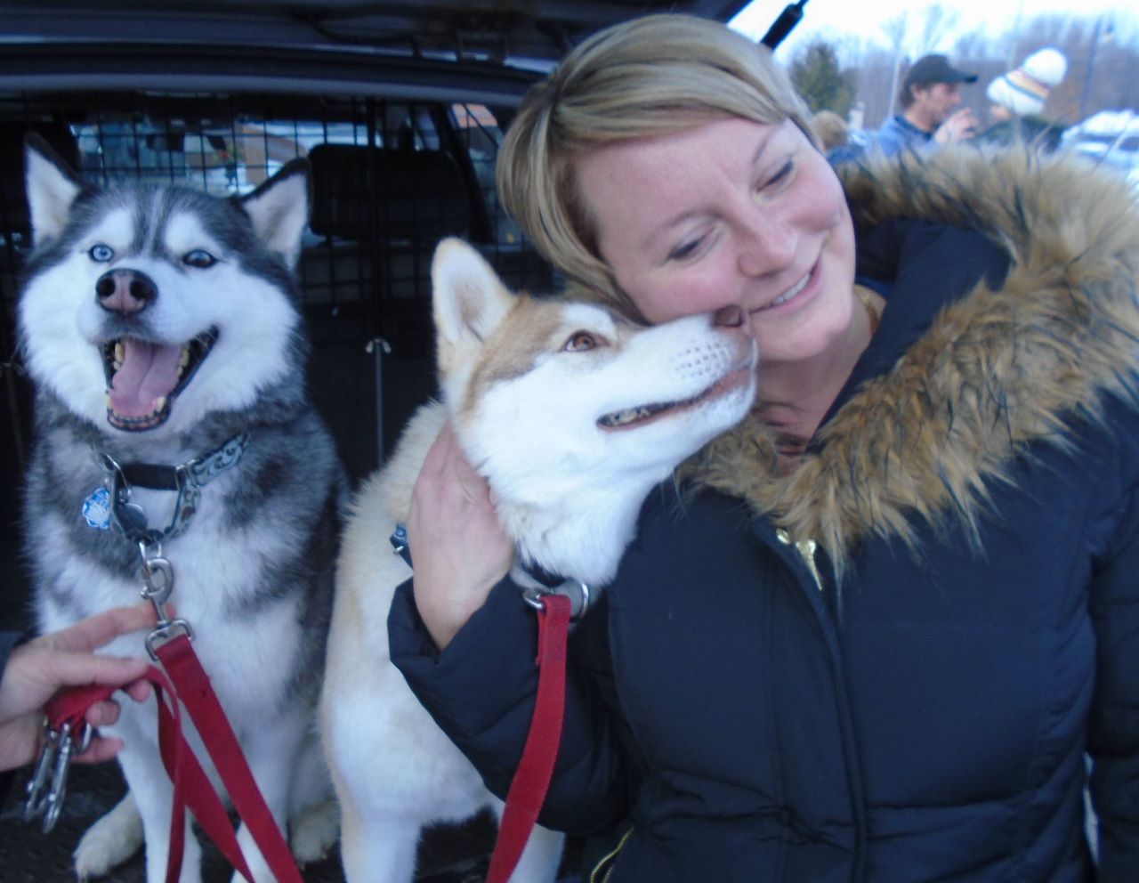 Woman in a winter coat cuddling a white husky; another husky sits beside her in a car.