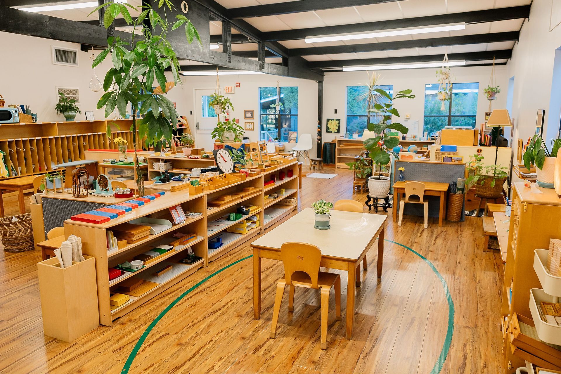 Bright classroom with wooden tables, shelves, plants, and sunlit windows in a cozy learning space
