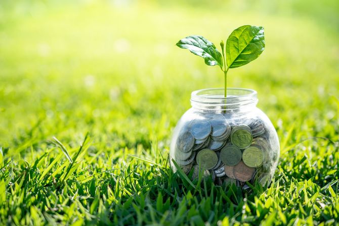 5% pay up front discount — Albuquerque, NM — AAA Organic Pest Control