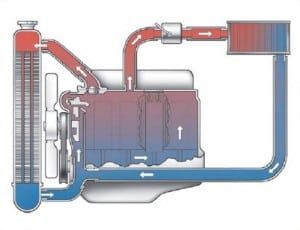 Diagram of a car engine cooling system. Red and blue illustrate hot and cold coolant flow through the engine and radiator.
