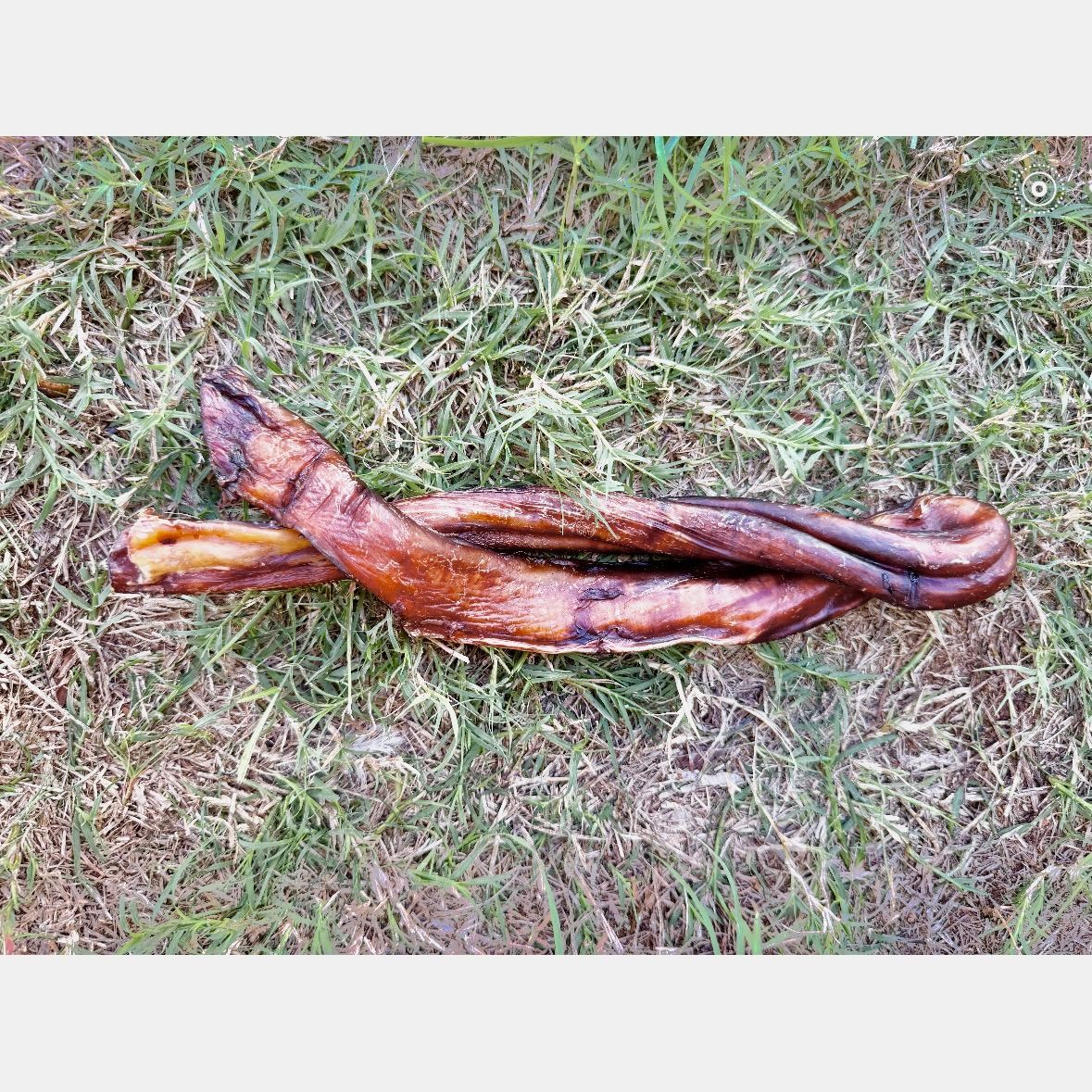 Bully Stick