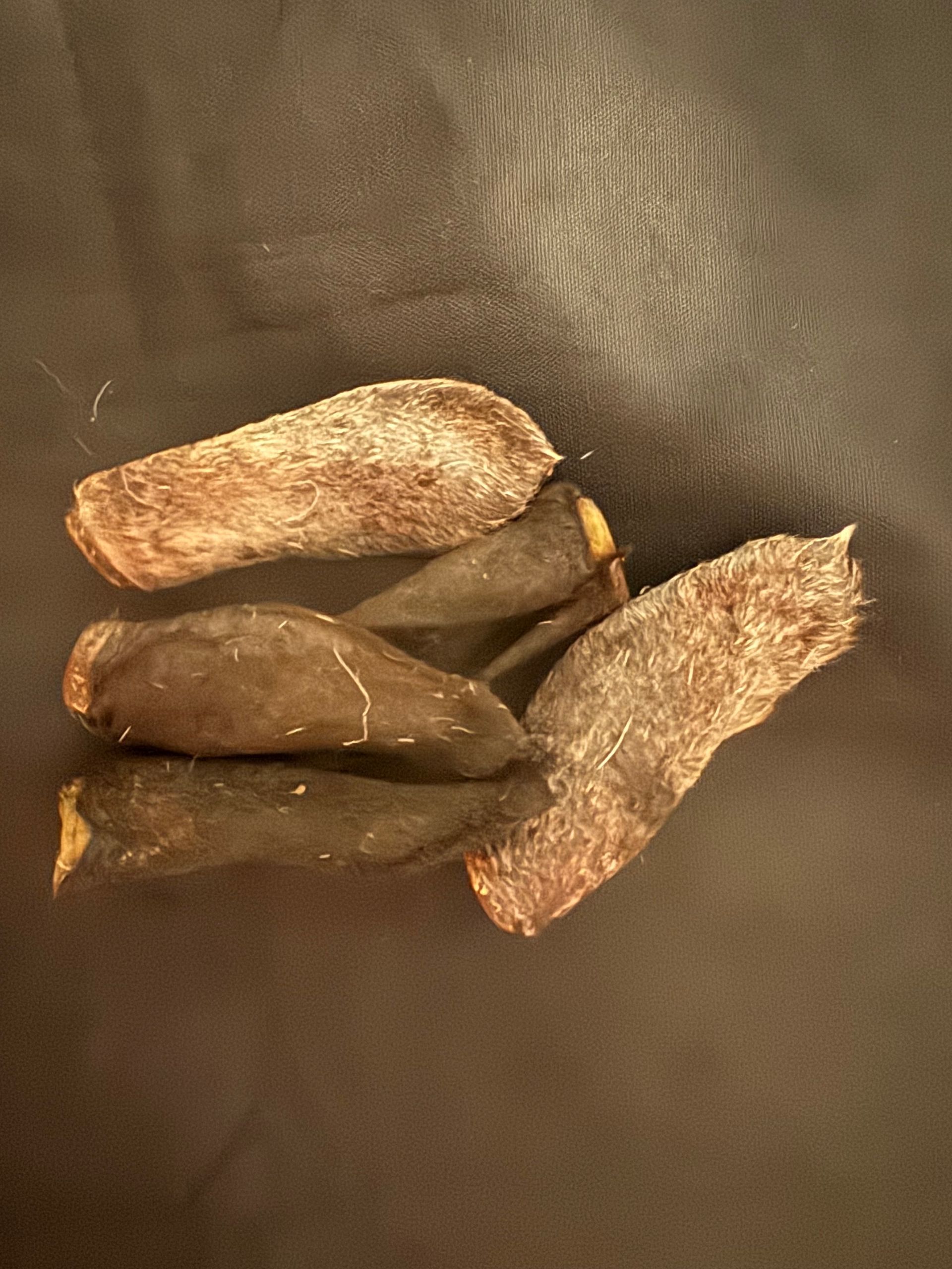 Sheep Ear each