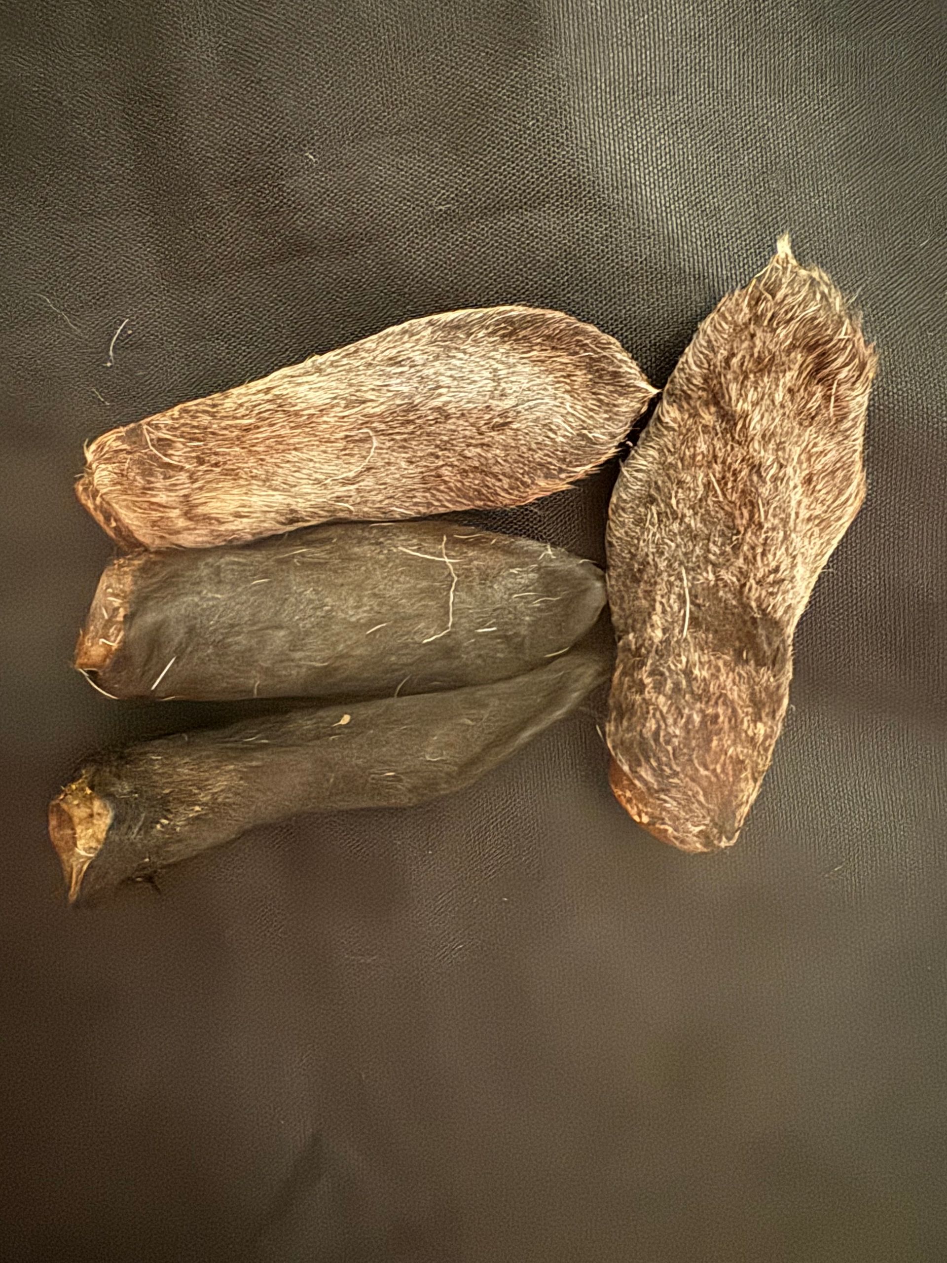 Sheep Ear each