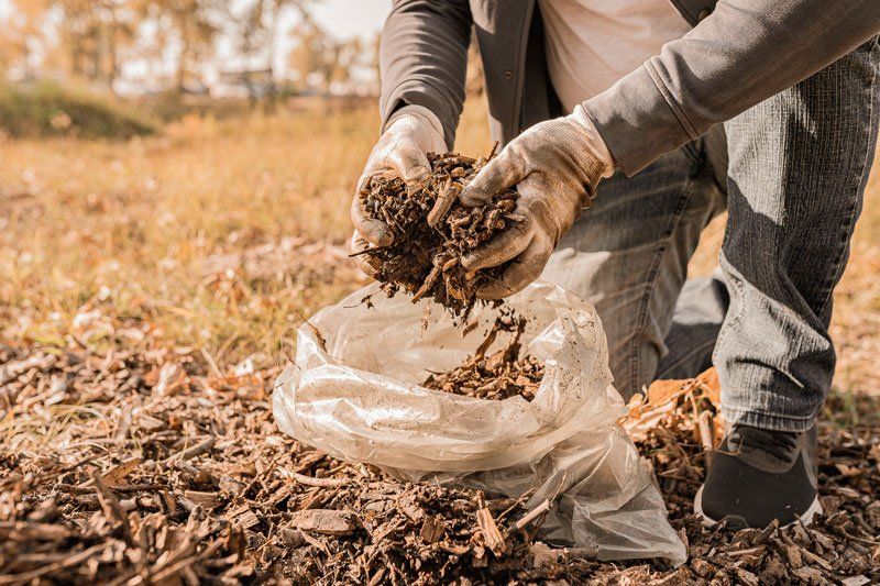 Organic Composting