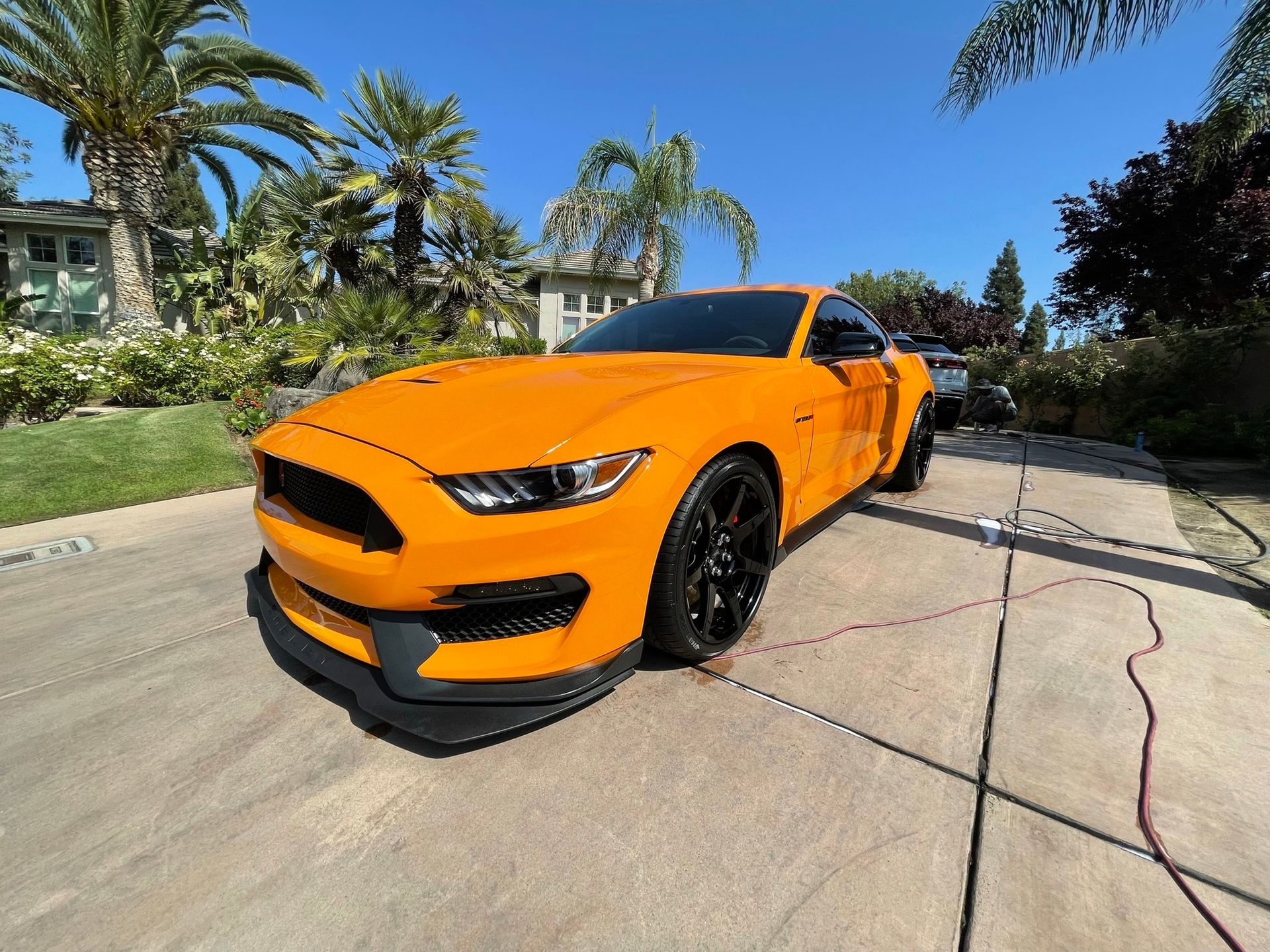 A yellow mustang is parked in a driveway with palm trees in the background.