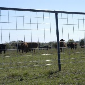 RANGER GATE | RANCH MANUFACTURING | FENCING