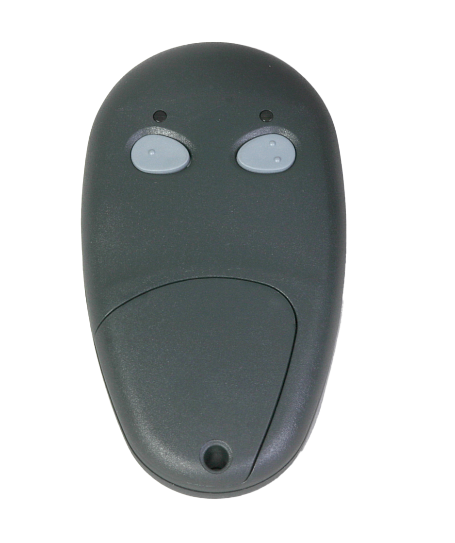 LCR 2-BUTTON TRANSMITTER