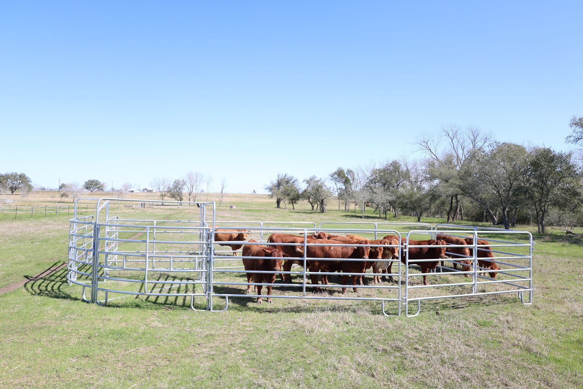 A picture of a metal fence on a white background.