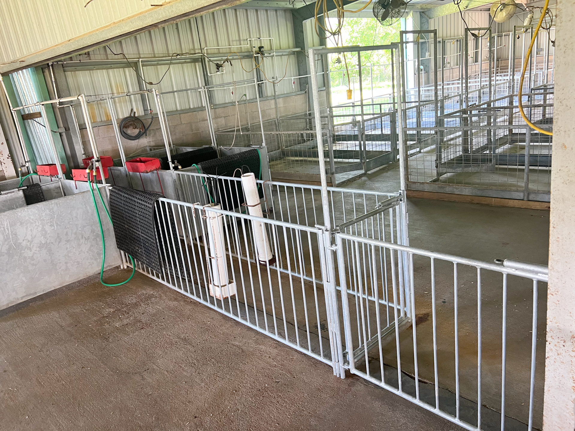 A fenced in area with a lot of animals in it.