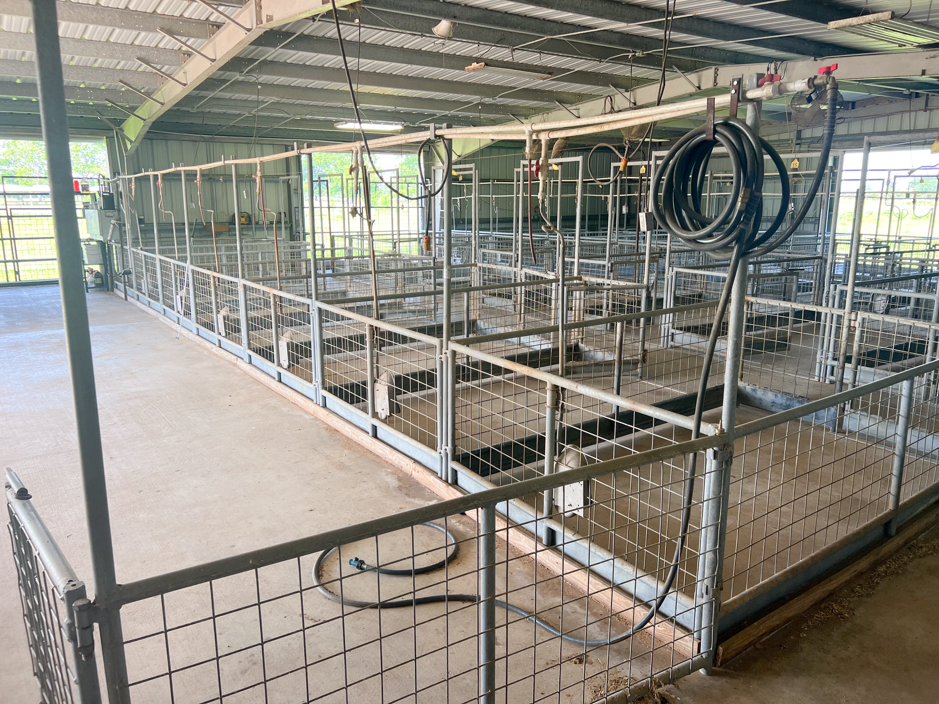 A large building with a fence around it and a lot of cows in it.