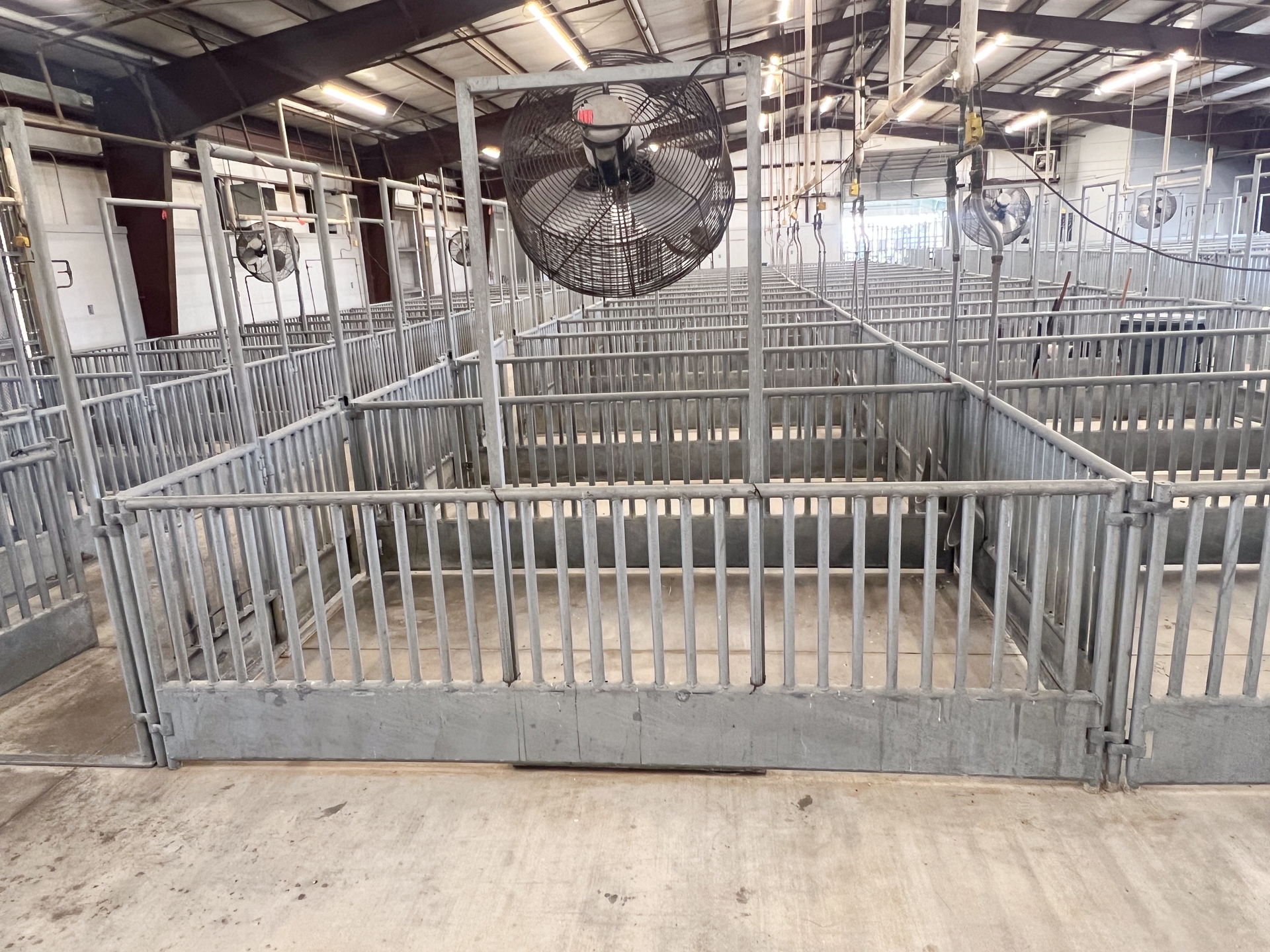 A fenced in area with a fan hanging from the ceiling