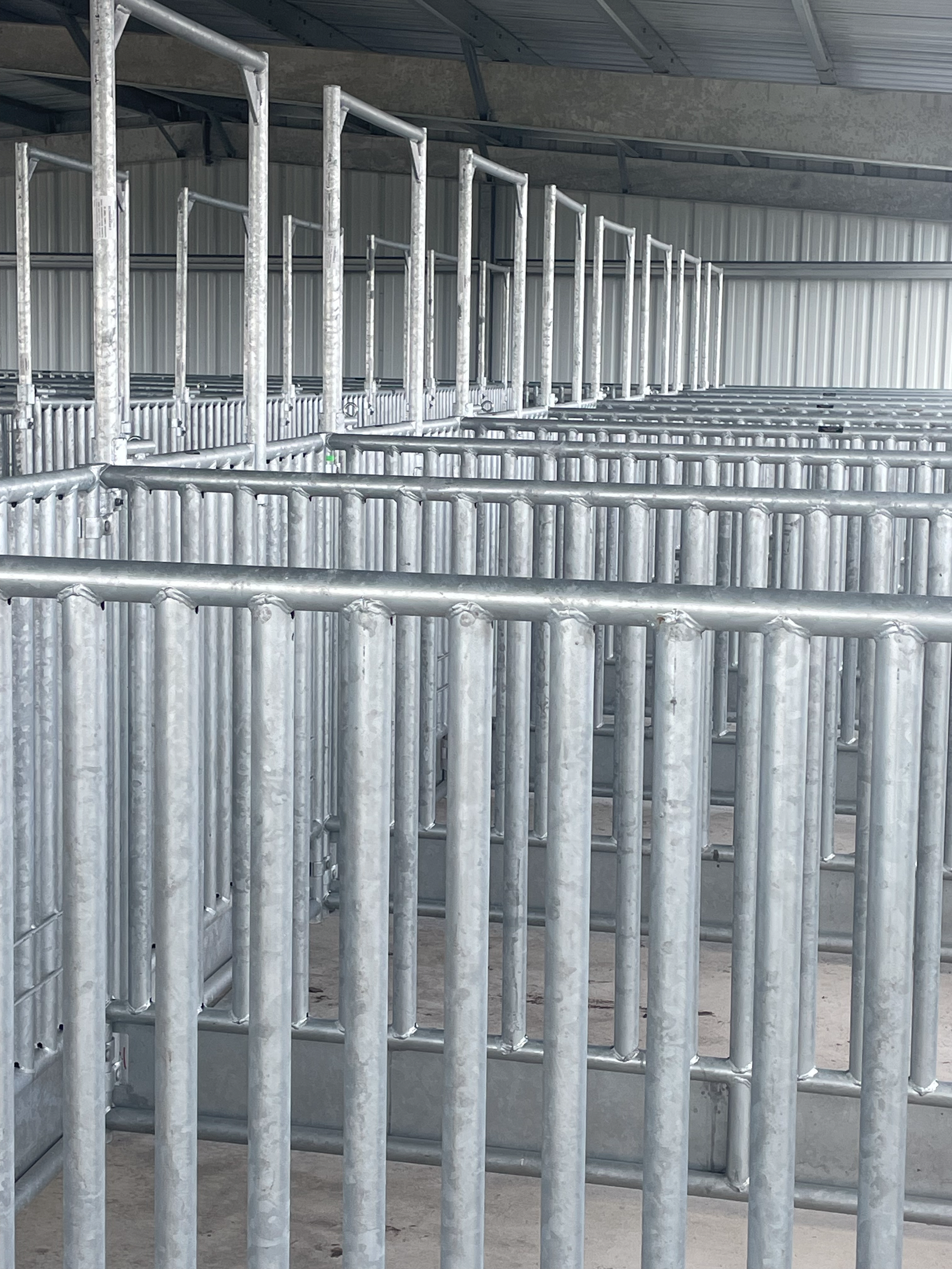 A row of metal fences in a building