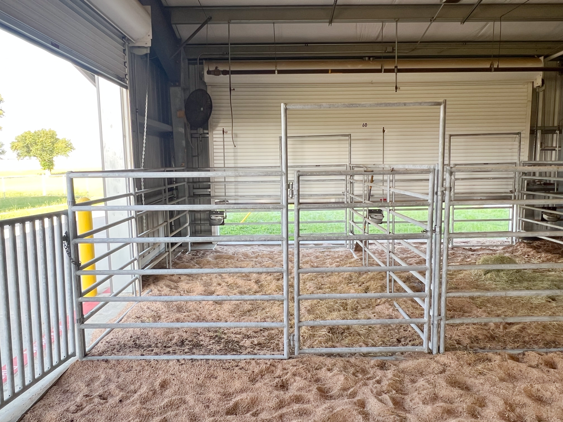 A metal fence surrounds a dirt area in a barn