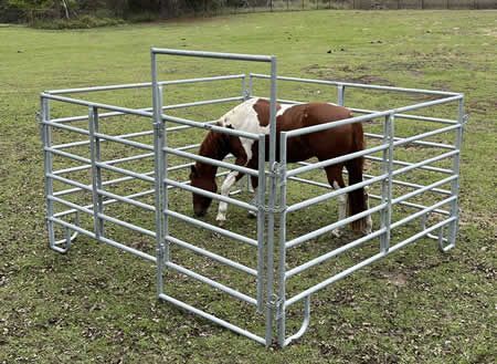A brown and white horse is grazing in a fenced in area.