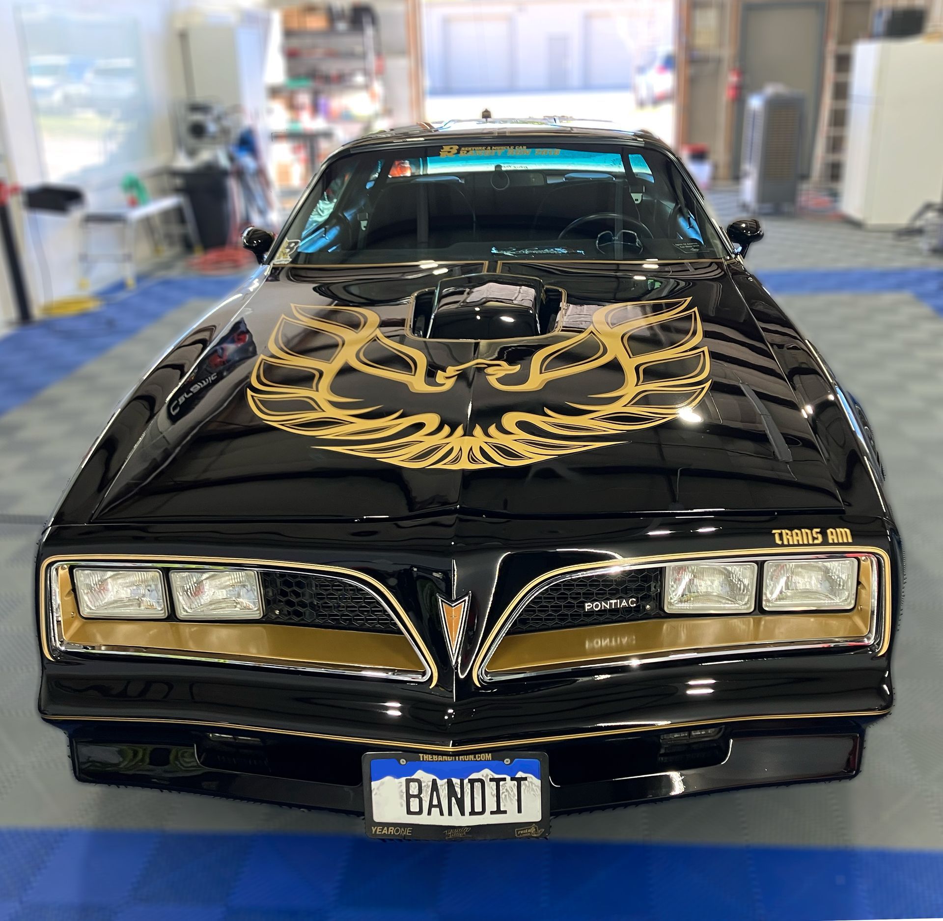 Black classic Pontiac Firebird with gold phoenix hood graphic, parked indoors on a blue floor.