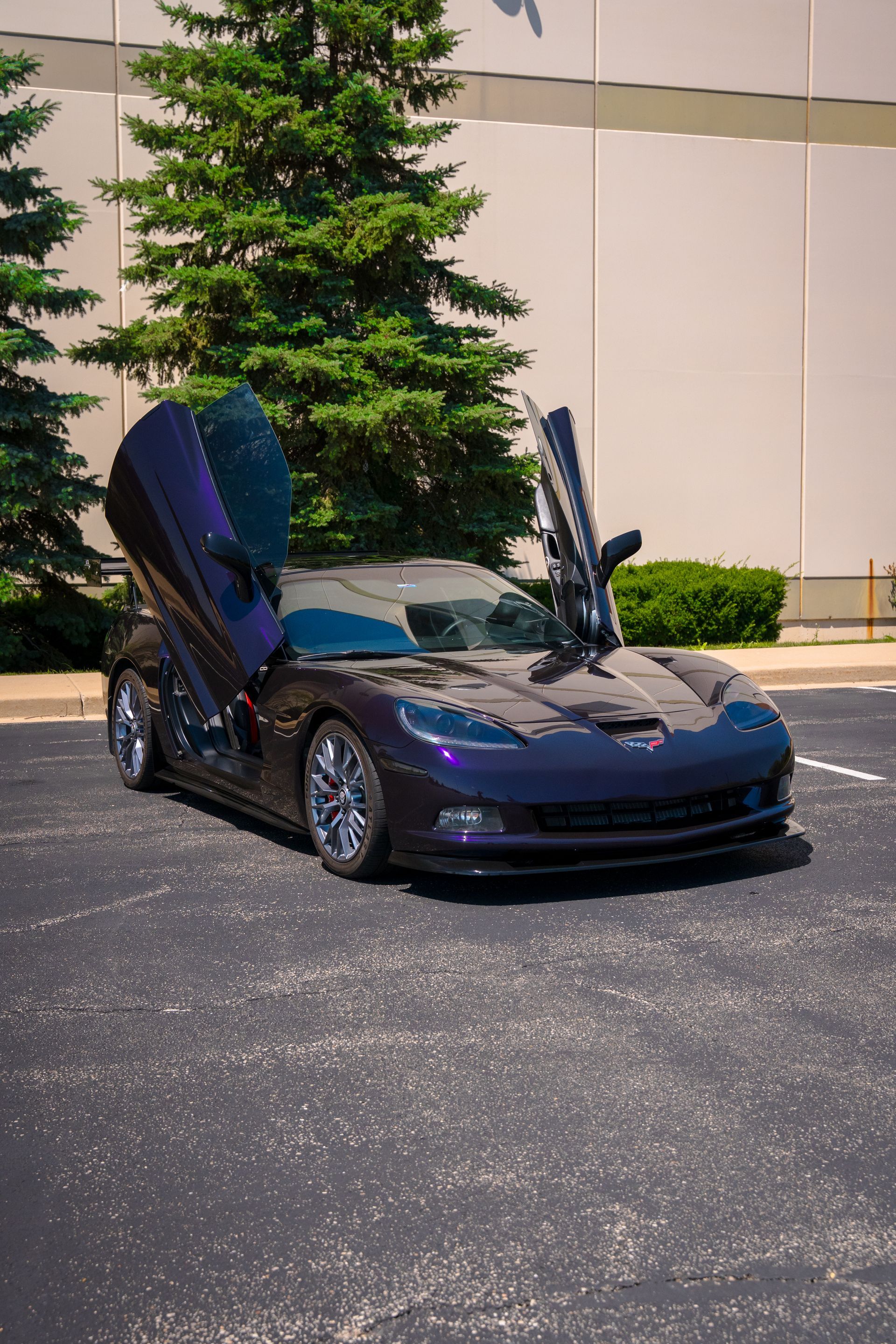 Black sports car with gullwing doors raised, parked outside a building by a tree.