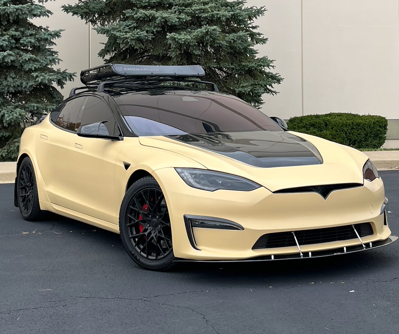 Cream-colored Tesla Model S with black hood and rims parked outdoors in front of trees and a building.