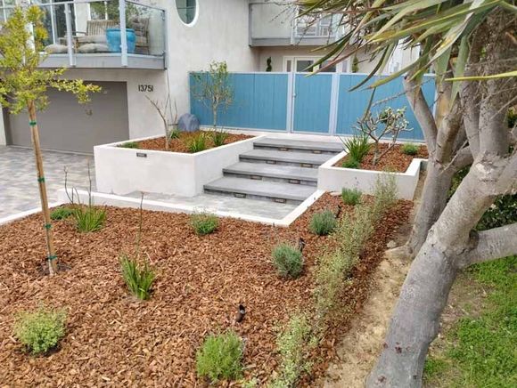 Landscaped front yard with steps to a blue house and a tree in the foreground