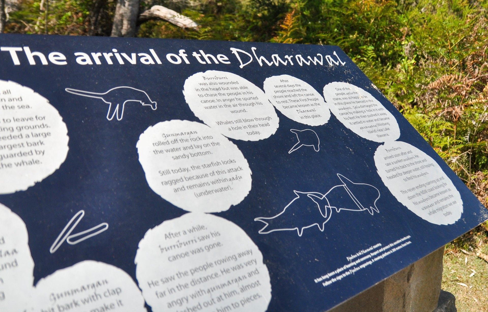 A sign that says the arrival of the darwins on it