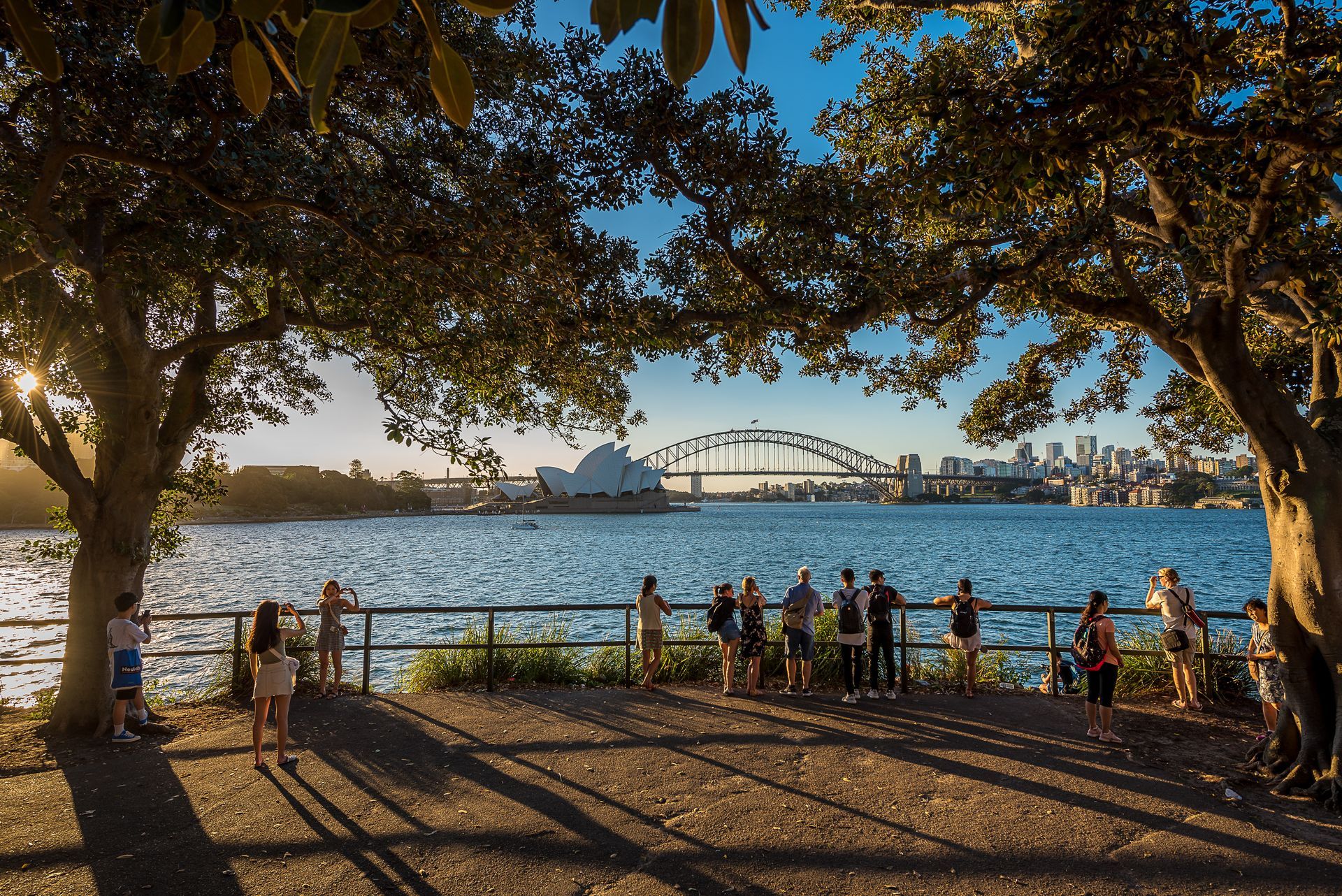 Sydney Harbour view with Opera House, Harbour Bridge, and people under trees.