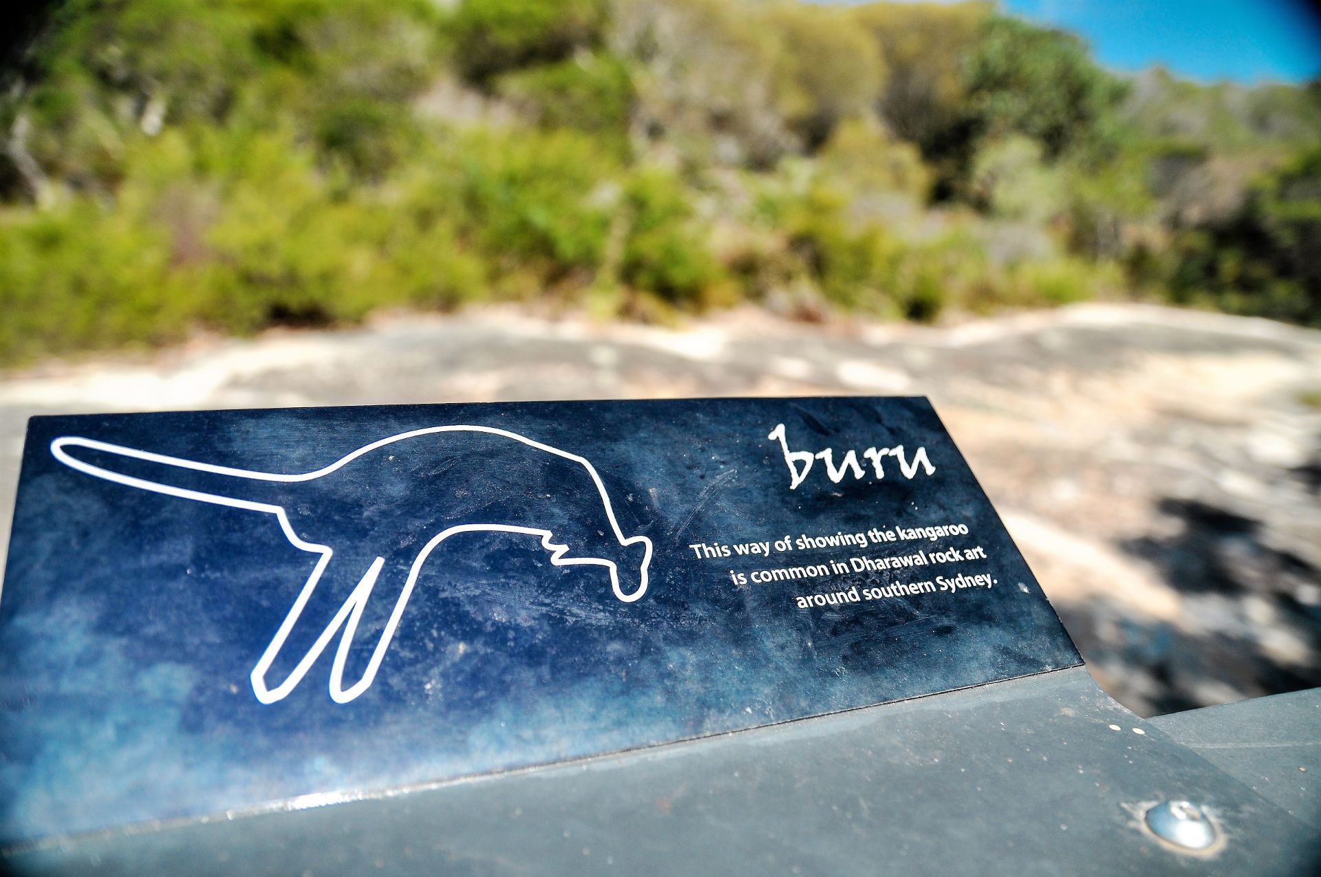 A black sign with a drawing of an otter on it