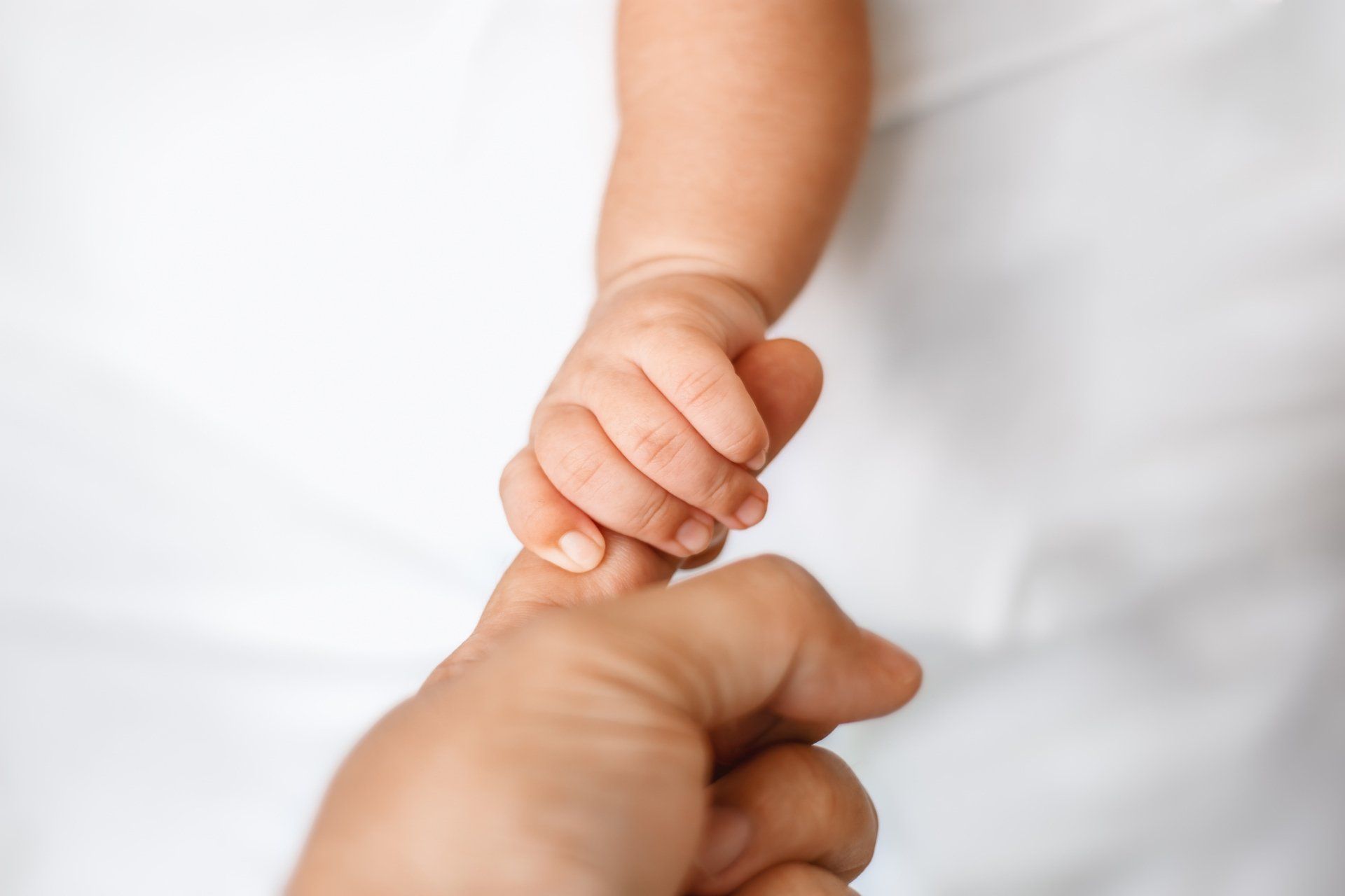 Adoption — Roanoke Rapids, NC — Monique Skinner Dixon Attorney At Law