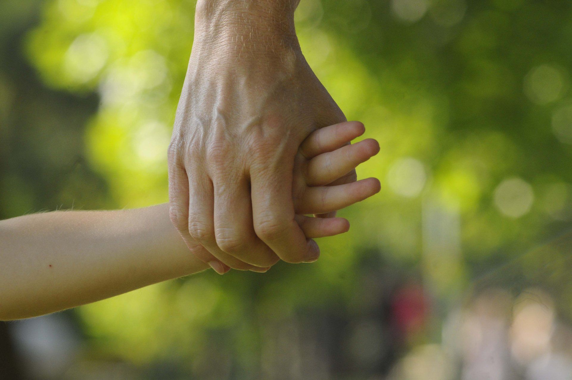 Guardianship — Roanoke Rapids, NC — Monique Skinner Dixon Attorney At Law