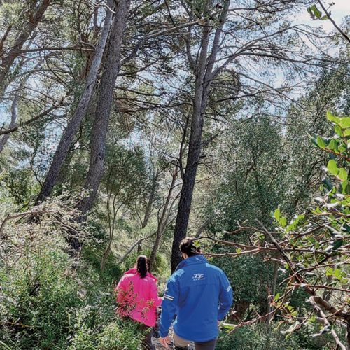 Spectacular hiking routes to fall in love with Caimari