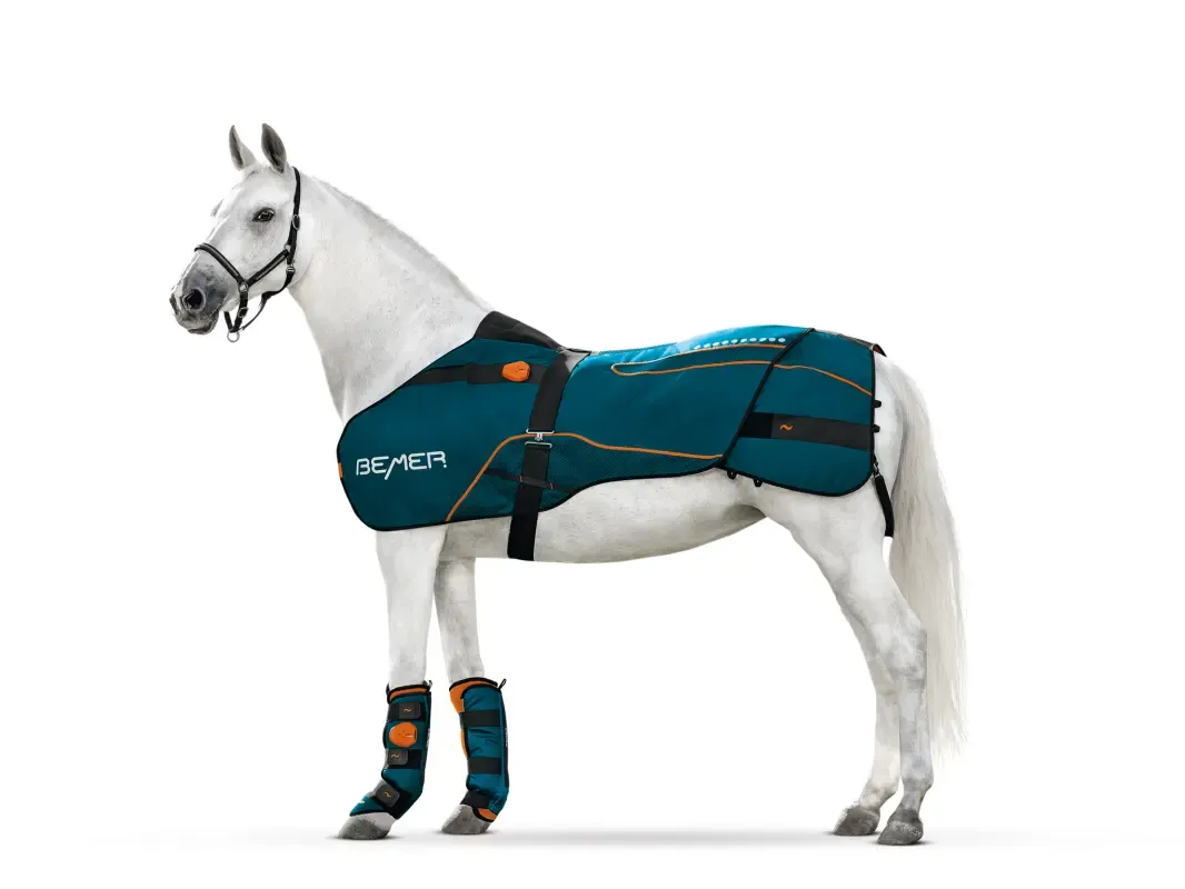 BEMER Horse Rug, BEMER Neck applicator, BEMER Vet Set, BEMER Therapy, BEMER Horse Blanket