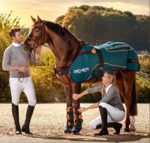 BEMER Horse Rug, BEMER Vet Set, BEMER Therapy, BEMER, BEMER Horse Set, BEMER Horse Blanket