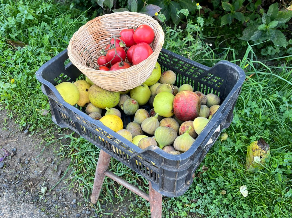 El alimento como parte del Camino