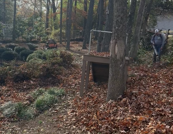 Rake & Leaves