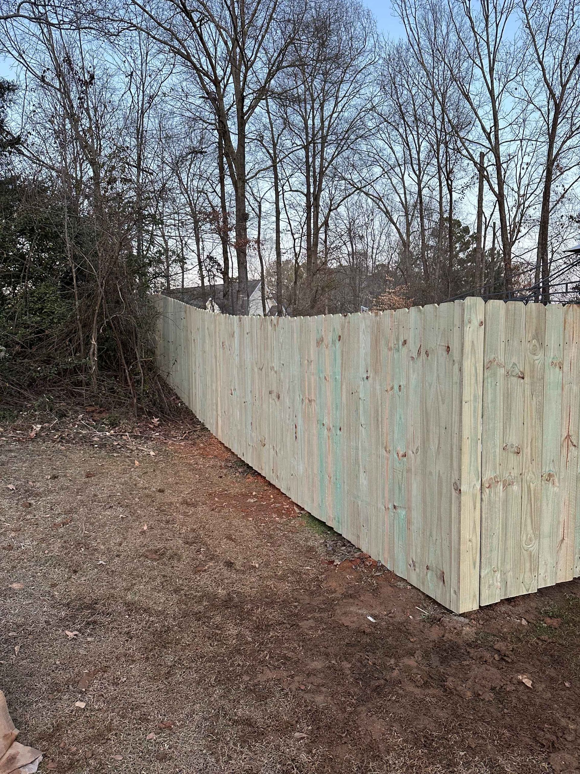 Wooden fence in a yard with trees in the background. Greenish wood, brown ground, overcast sky.