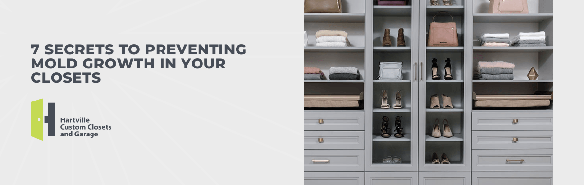 7 Secrets for Preventing Mold Growth in Your Closets