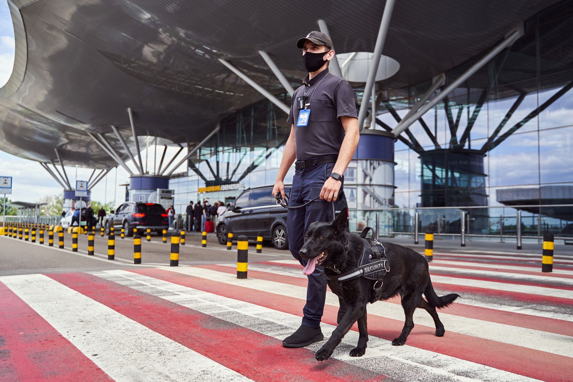 Masked handler walking a black service dog across a red-and-white crosswalk at an airport