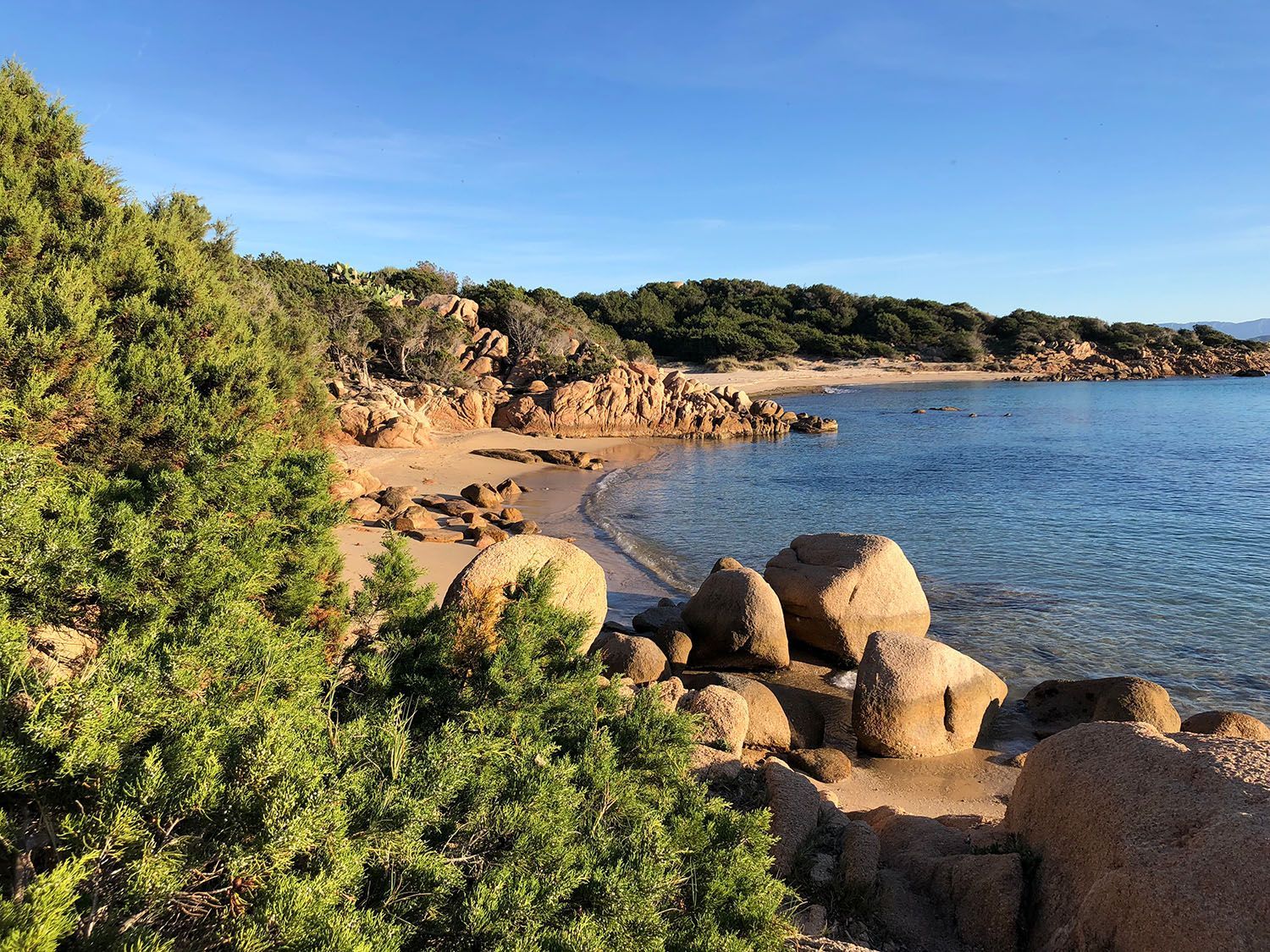 a beach with rocks and trees and a blue sky