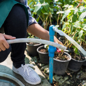 Person watering potted plants with a hose in a garden