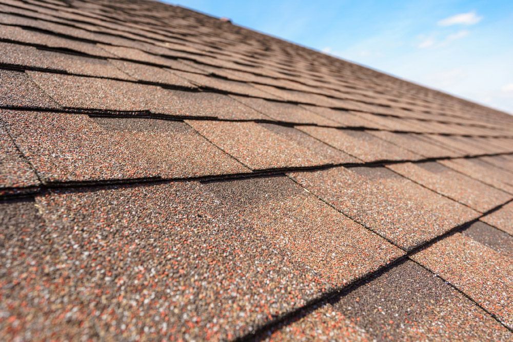 Close Up of Asphalt Shingles — San Antonio, TX — Roof Chiefs Inc Close Up of Asphalt Shingles — San Antonio, TX — Roof Chiefs Inc