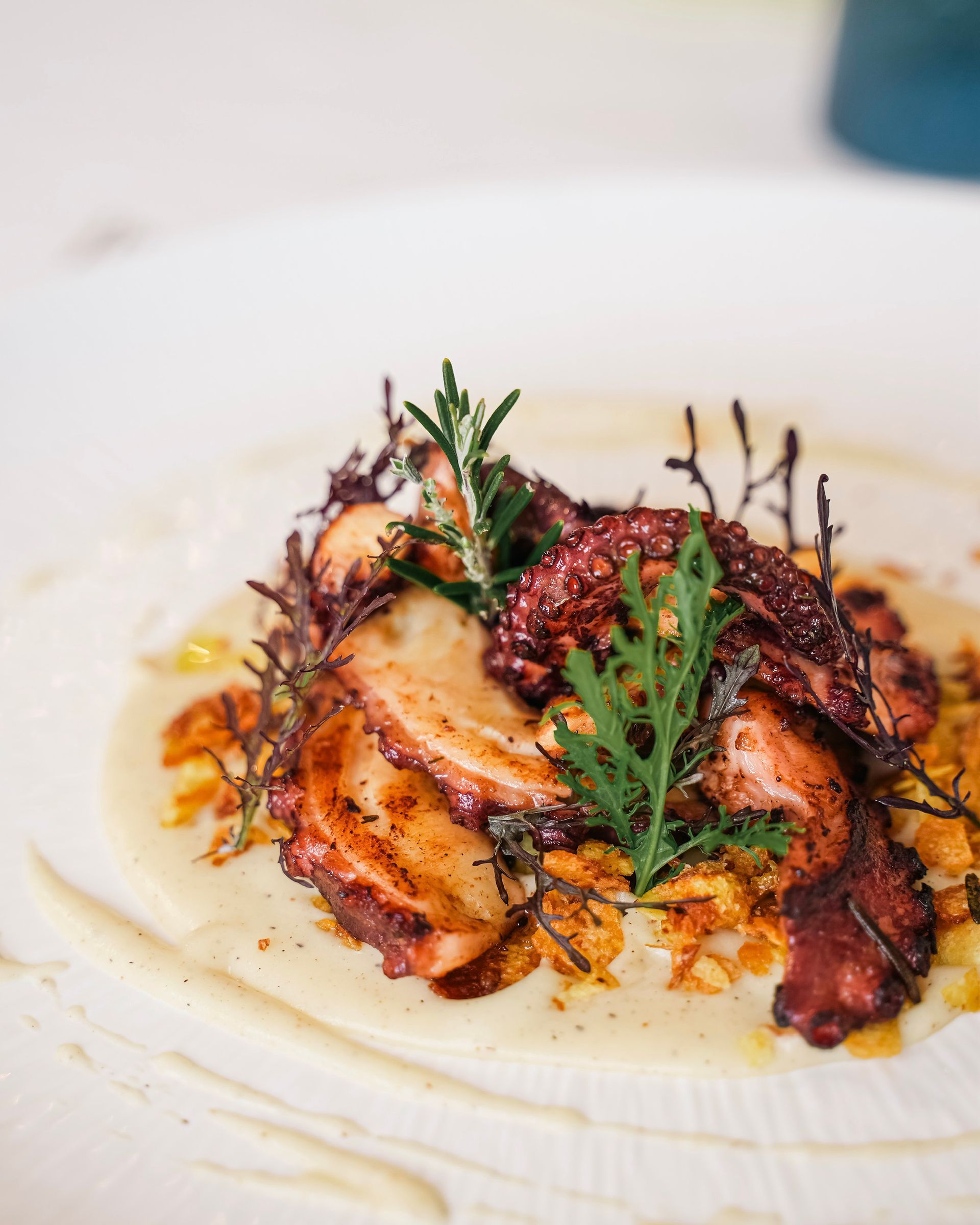 istorante pesce a Senigallia Pulcinella con specialità di mare e pesce fresco