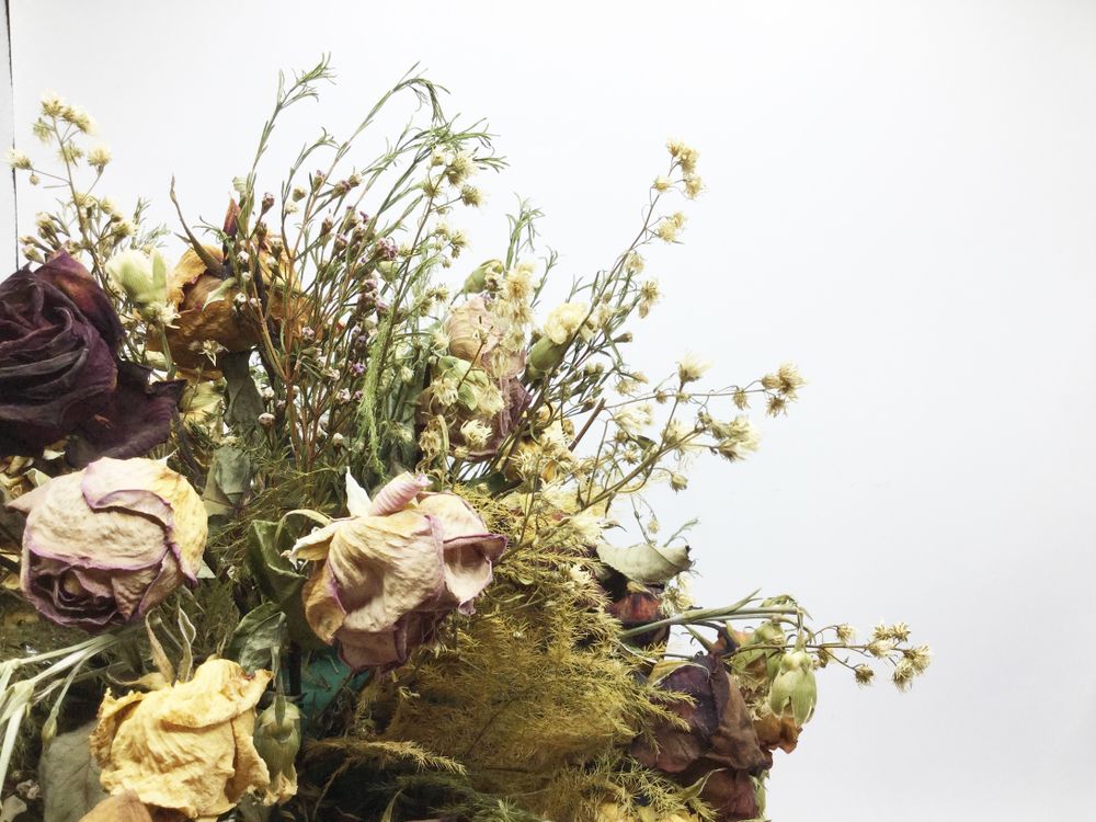 Dried Bouquet of Roses and Other Flowers Against a White Backdrop — Ivy Lane Flowers and Gifts in Sunshine Coast