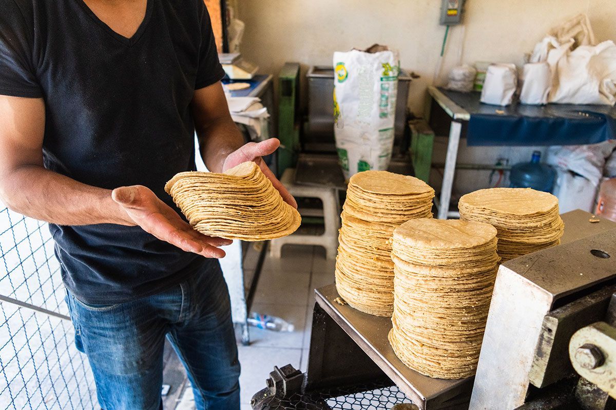 Propiedades tortilla