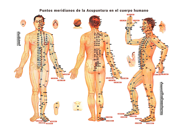 DRA. TATIANA PROKHOROVA - ACUPUNTURA TRADICIONAL
