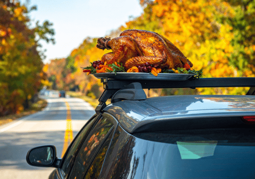 Turkey on car roof rack driving along a road in autumn foliage
