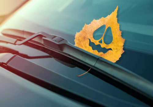 Yellow leaf with a black skull symbol on a car windshield wiper