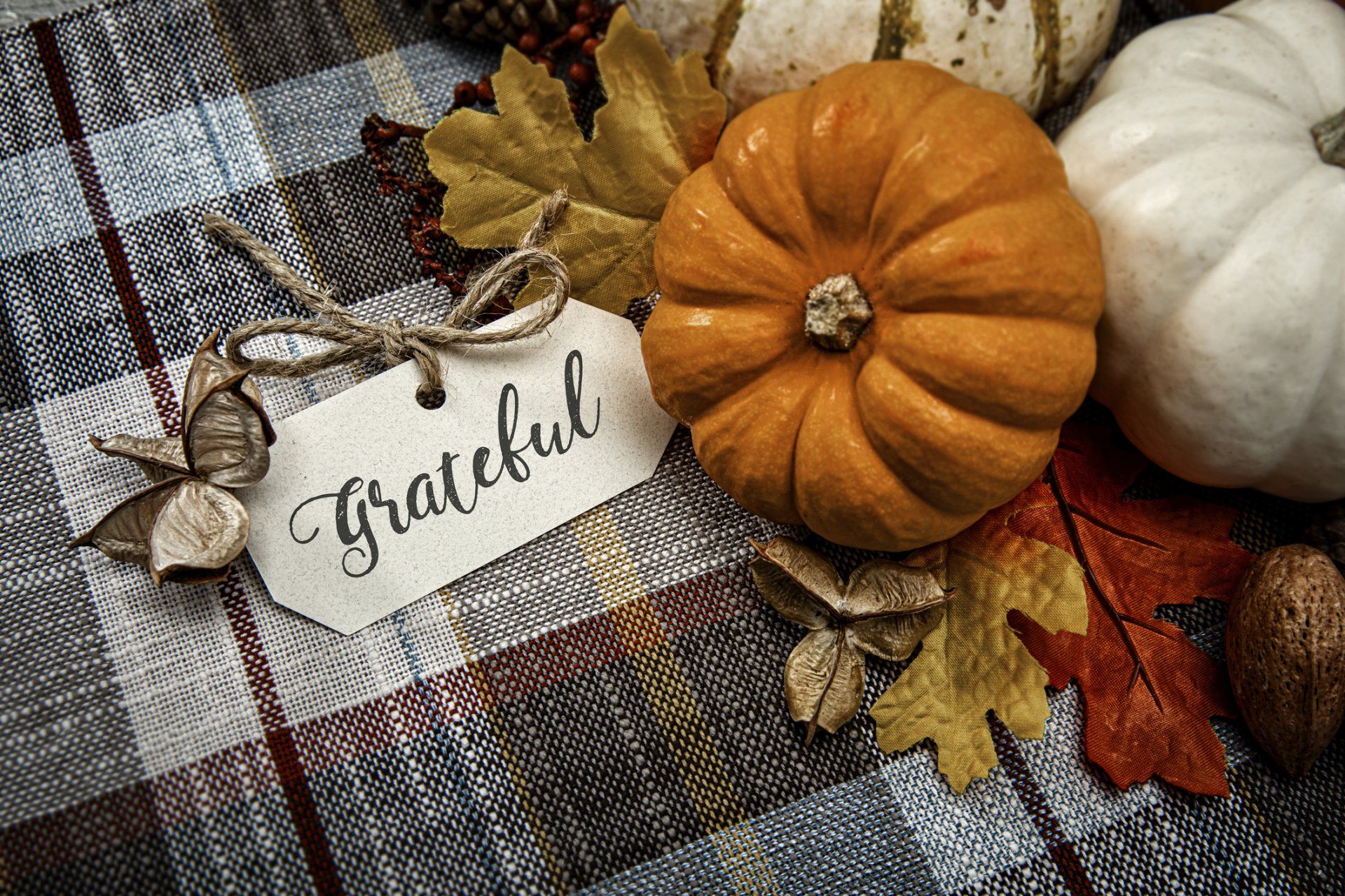 Happy Thanksgiving