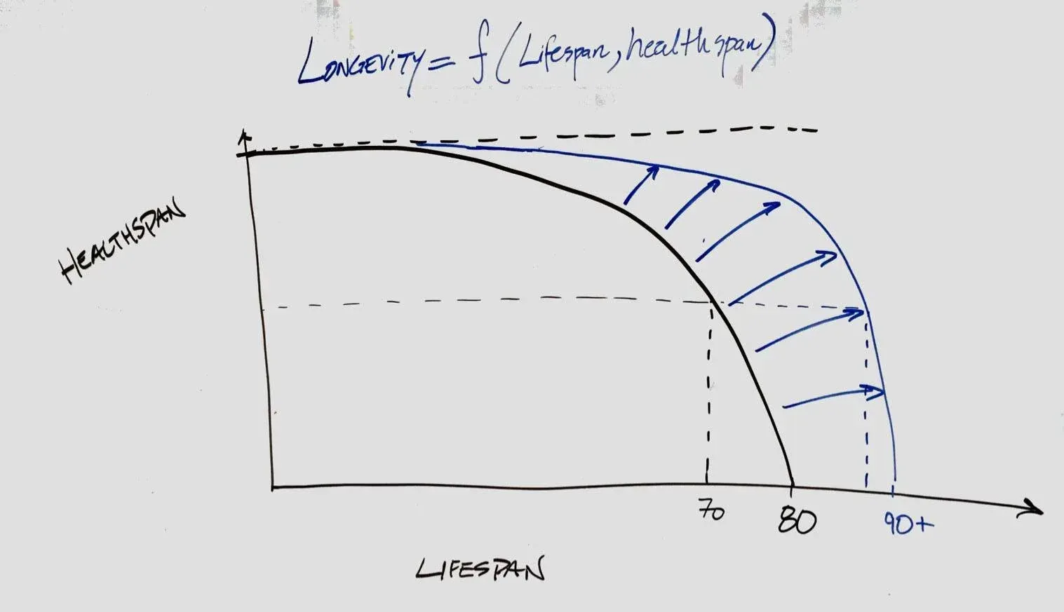 Hand-drawn declining curve chart with dashed reference lines and shaded area under the curve