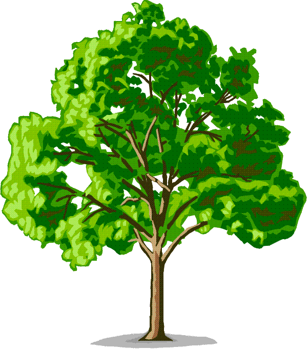 A -K LANDSCAPING & CONCRETE A -K LANDSCAPING & CONCRETE Trusted Concrete and Landscaping Contractor Serving Contra Costa County Since 1986