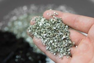 Main tenant une poignée de vermiculite granuleuse gris clair, avec plus en arrière-plan.