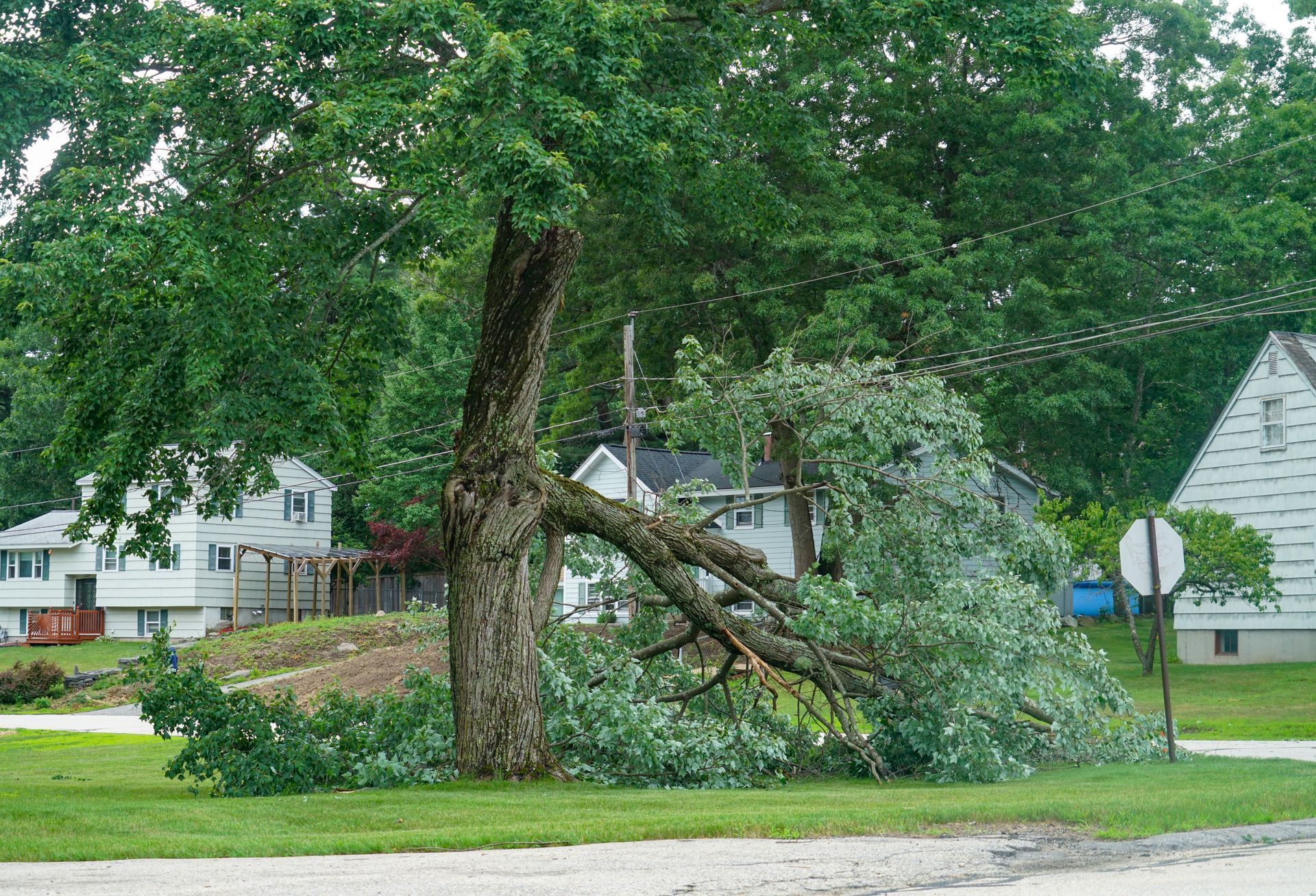 A dangerous fallen tree branch in a residential neighborhood was caused by the storm. A dangerous fallen tree branch in a residential neighborhood was caused by the storm.