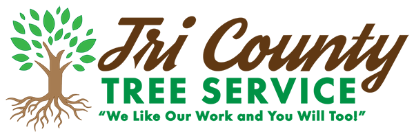 Tri County Tree Service Tri County Tree Service